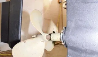 37