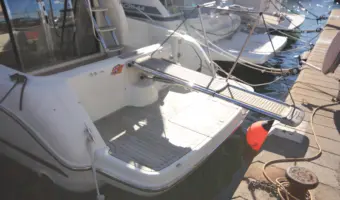 Stern