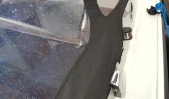 29