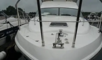 54781 26