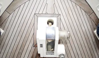31