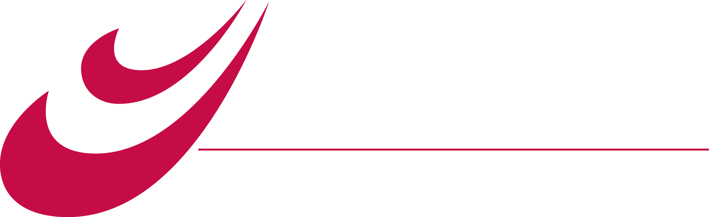 Vri-jon logo